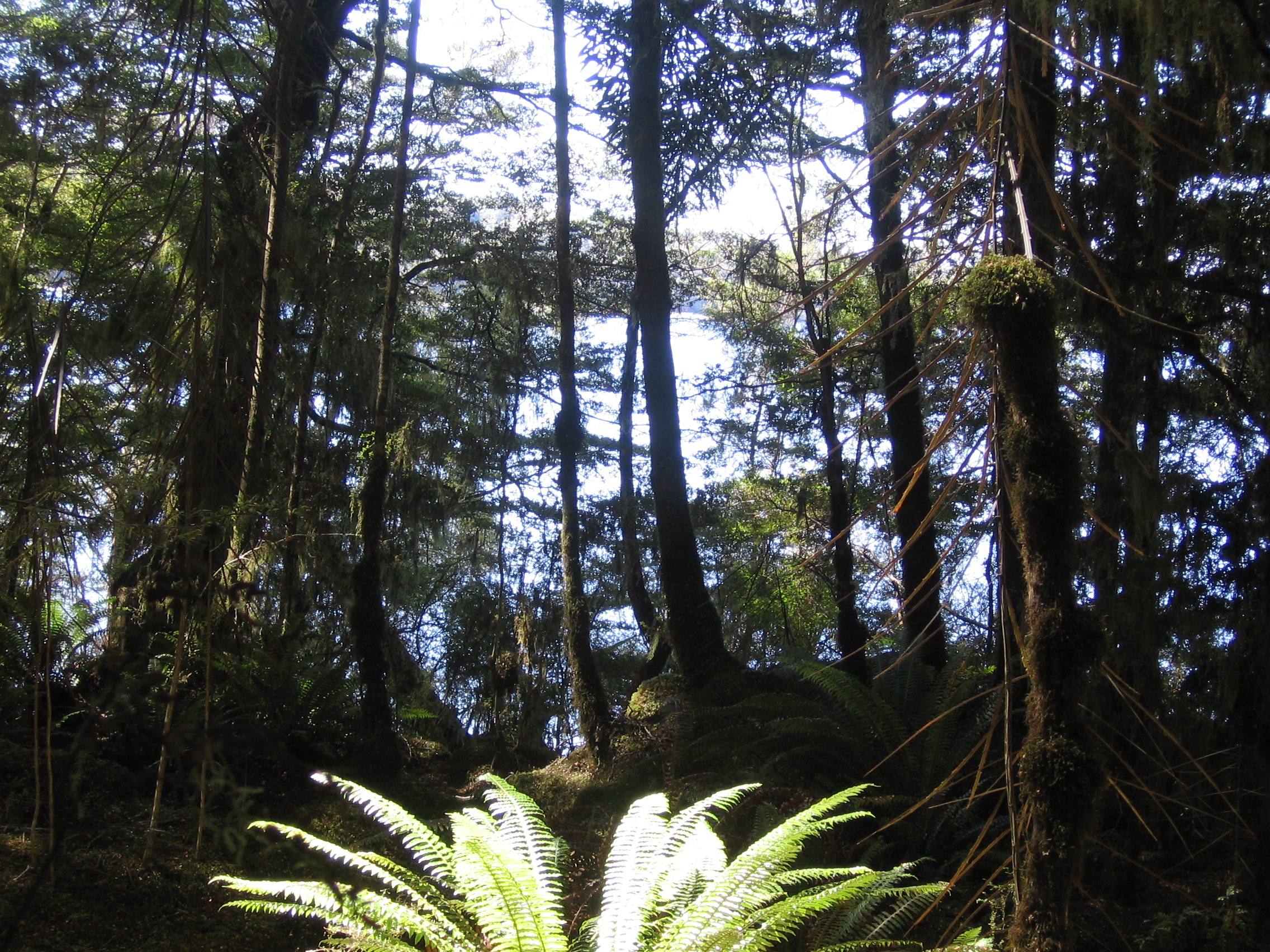 21. Lake Manapouri